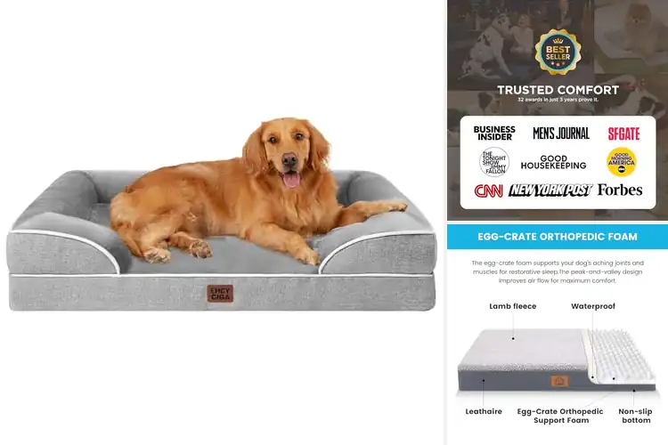 Detailed view of Best Washable Dog Bed Covers