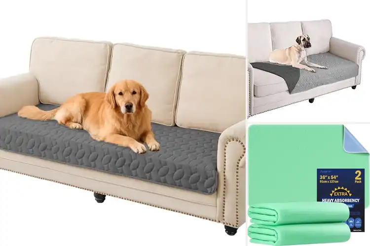 Detailed view of Best Washable Dog Bed Protectors