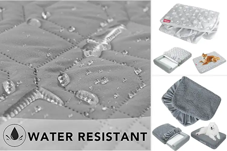Detailed view of Best Washable Pet Bed Covers