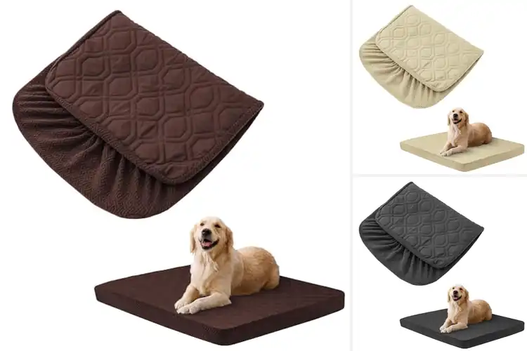 Detailed view of Best Water Absorbable Puppy Bed Covers