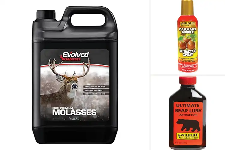 Detailed view of Best Wildlife Attractants