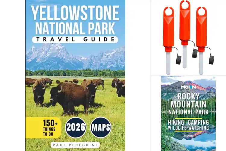 Detailed view of Best Wildlife Attractions: Witness Nature’s Magic Up Close