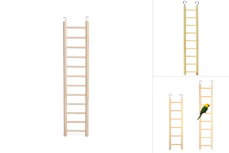 Detailed view of Best Wooden Bird Ladder