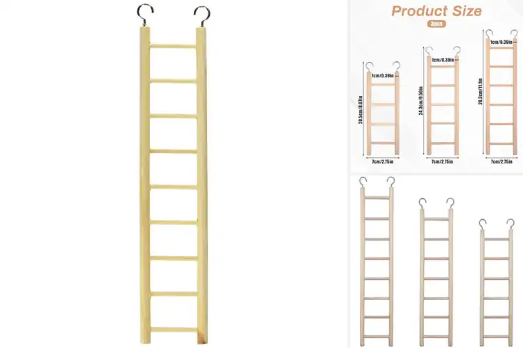 Detailed view of Best Wooden Bird Ladders