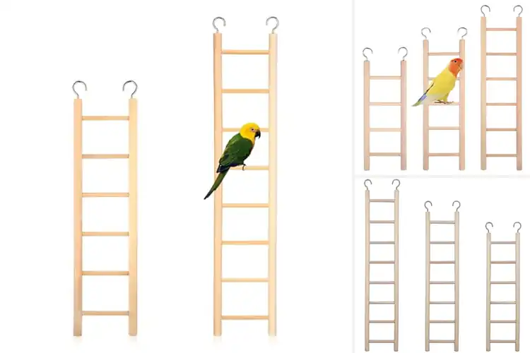 Detailed view of Best Wooden Parrot Ladder For Cage