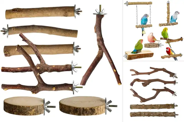 Detailed view of Best Wooden Perches: Keep Your Bird Happy & Healthy